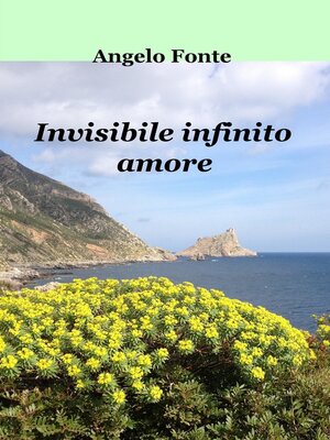 cover image of Invisibile infinito amore